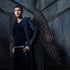 Halloween 3D Angel wings and Demon wings costume unisex soft adult and kids for halloween cosplay
